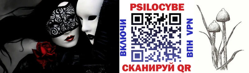 наркота Верея Галлюциногенные грибы Psilocybine cubensis